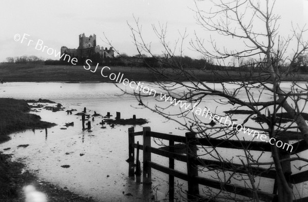 DUNBRODY ABBEY FROM N.W.